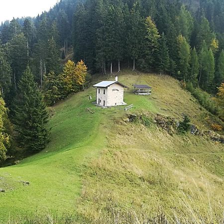 B&B Ai Pini Tiarno di Sopra Exteriör bild