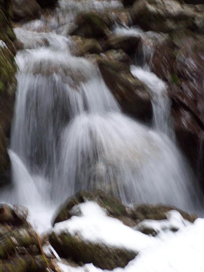 B&B Ai Pini Tiarno di Sopra Exteriör bild