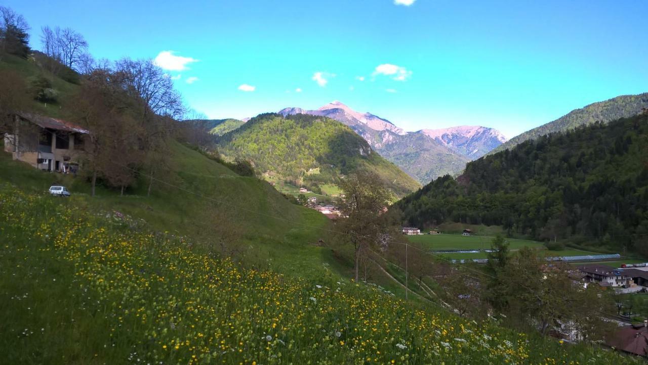B&B Ai Pini Tiarno di Sopra Exteriör bild